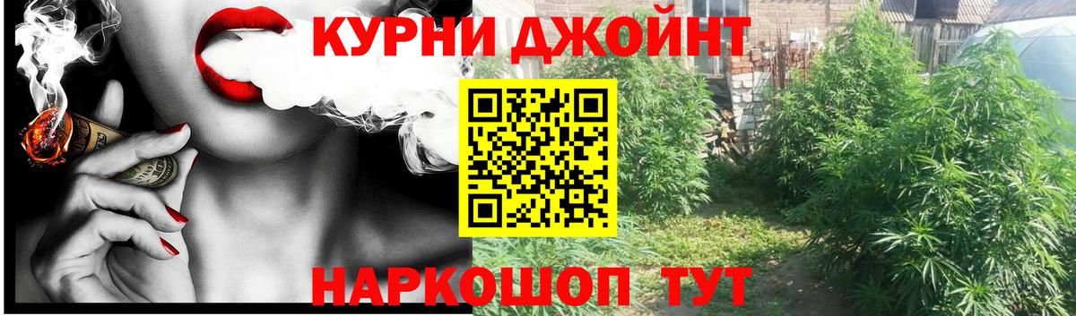 Конопля MAZAR  Бошки Шишки гибрид  Вход с VPN  Лянтор  Бошки Шишки конопля 